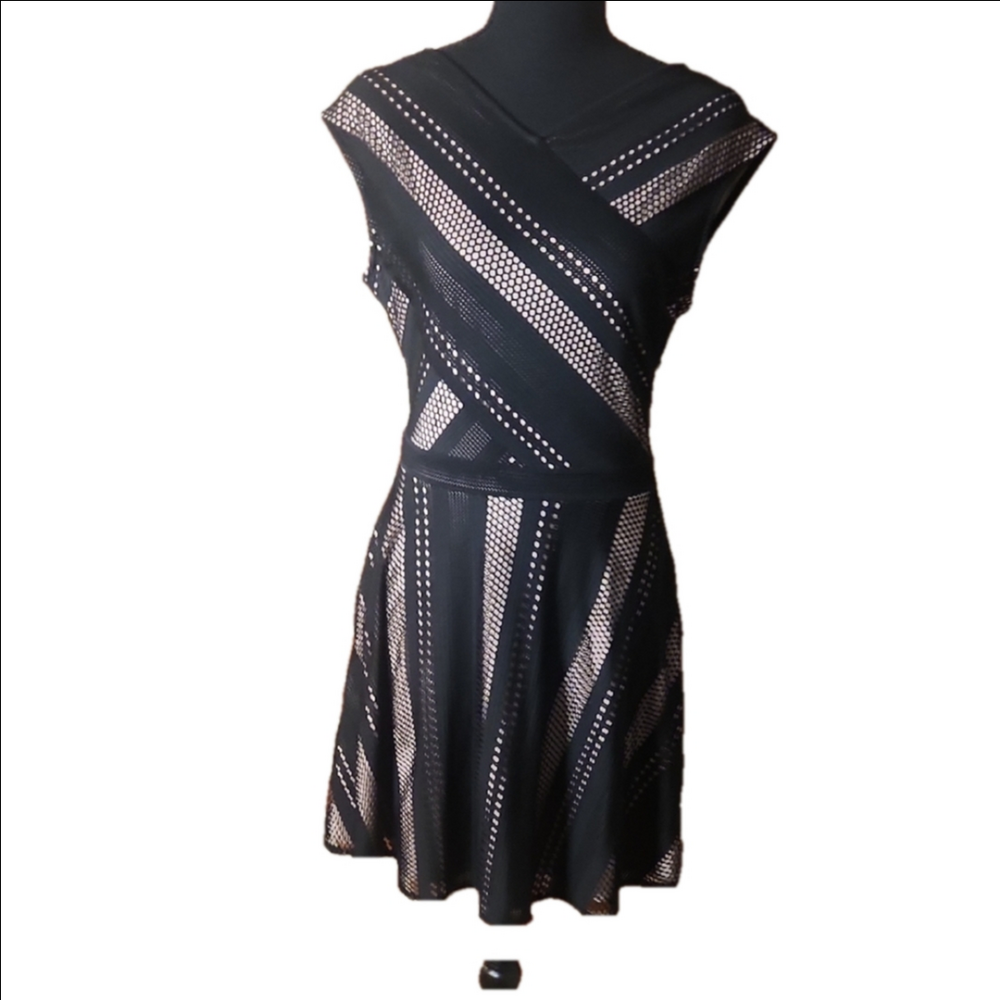 BCBGMaxAzria Black and Creqm Fit and Flare, Size Medium